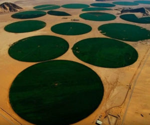 Irrigation Corners Desert